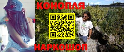 прущие грибы Обь