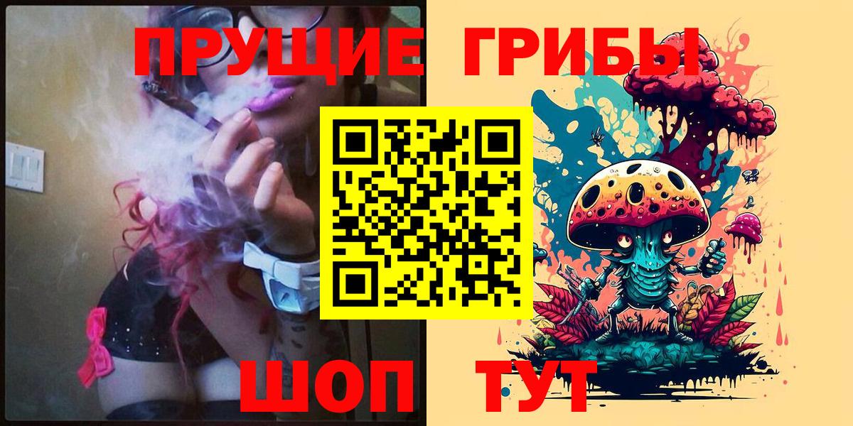 Псилоцибиновые грибы мухоморы Томск