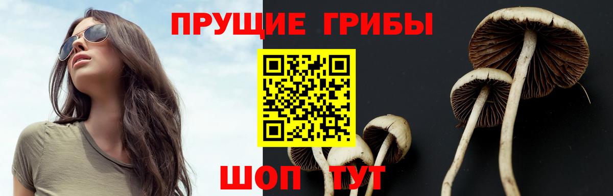 Псилоцибиновые грибы ЛСД  Вход с VPN  Томск 